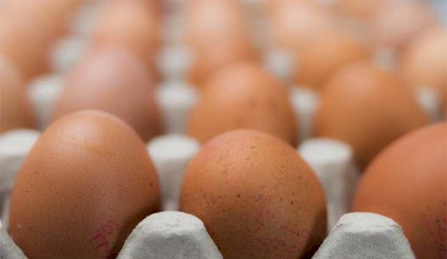 Investigadores demuestran cómo comer huevos puede mejorar la salud del corazón