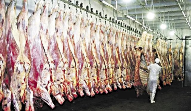 carnes