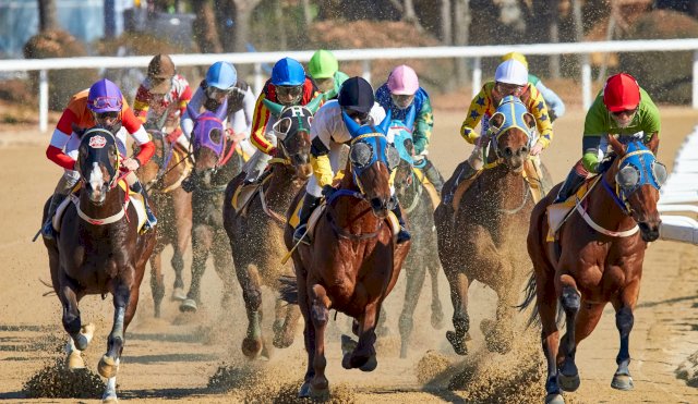 CARRERA DE CABALLOS
