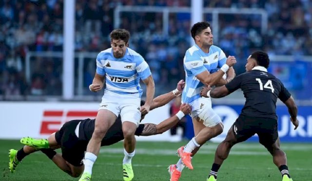 LOS PUMAS 