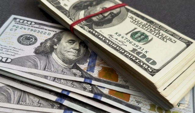 dolar