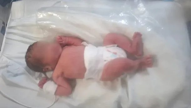 HALLAZGORECIENNACIDA