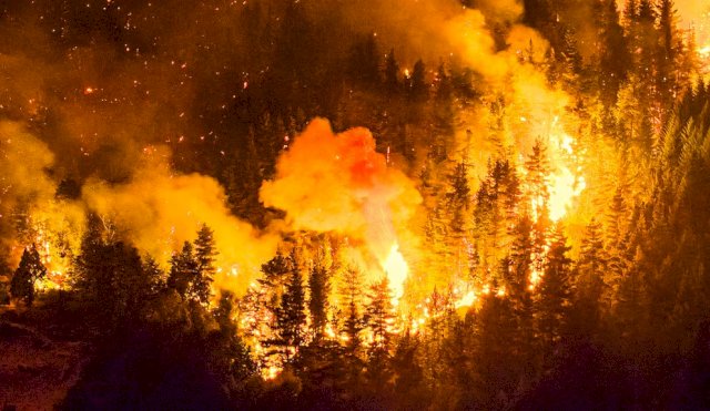 DECRETOEMERGENCIAIGNEA