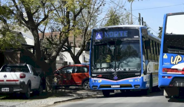 LA PLATA BUS