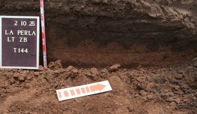 hallazgos en la perla