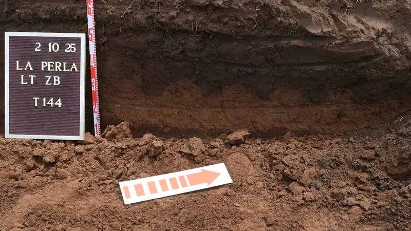 hallazgos en la perla