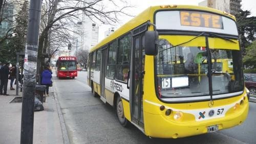 transporte movilizacion 