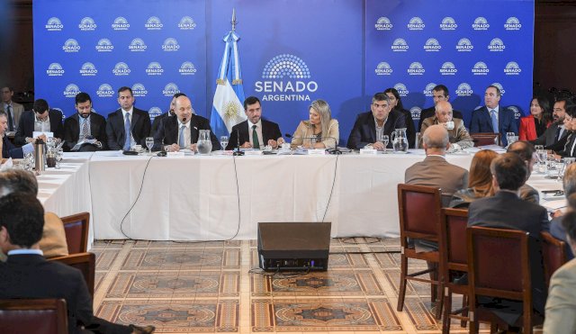 senado 