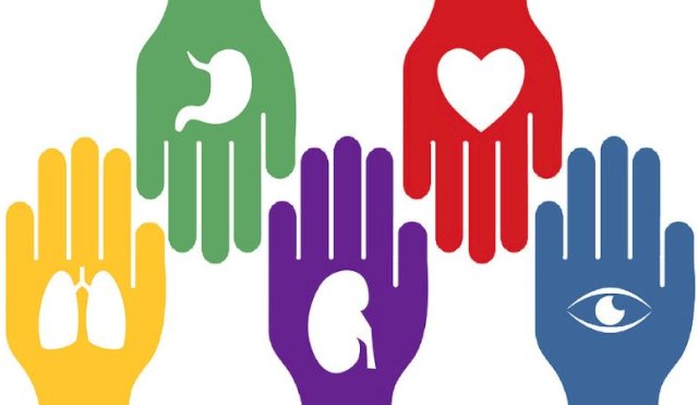donación órganos 