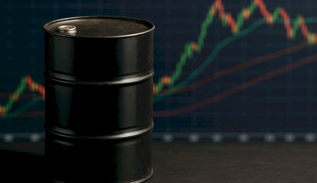 petroleo321