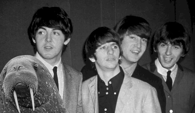 beatles
