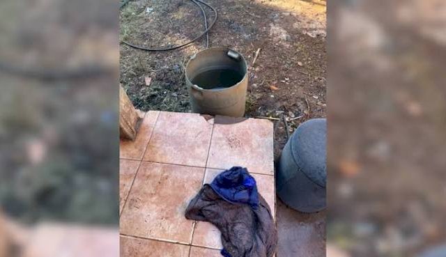 misiones