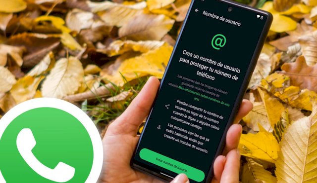 USUARIOWHATSAPP