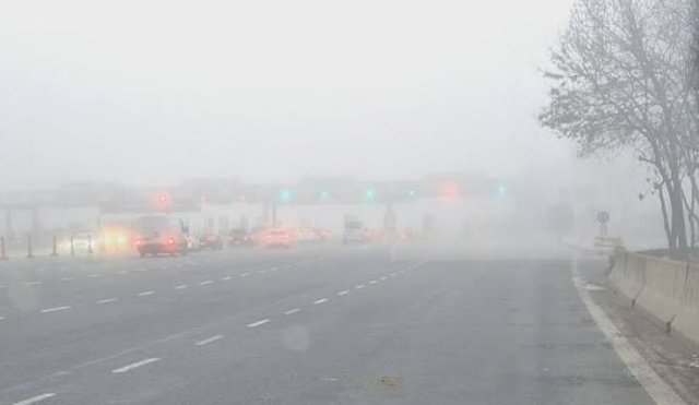 niebla