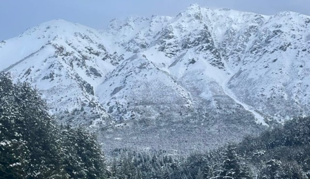 nieve