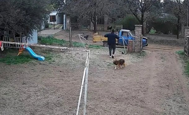 ROBOARCOS