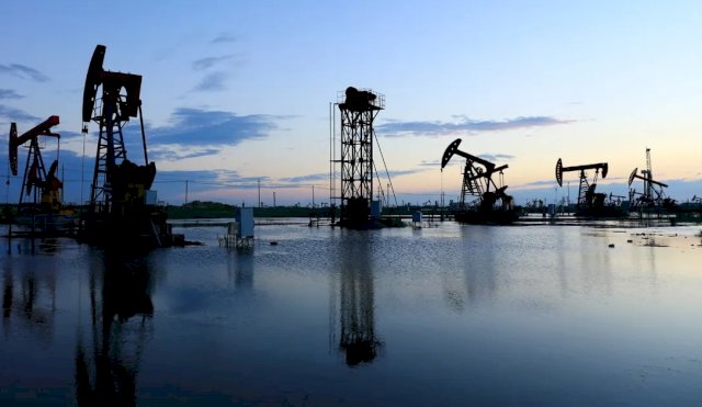 petroleoo