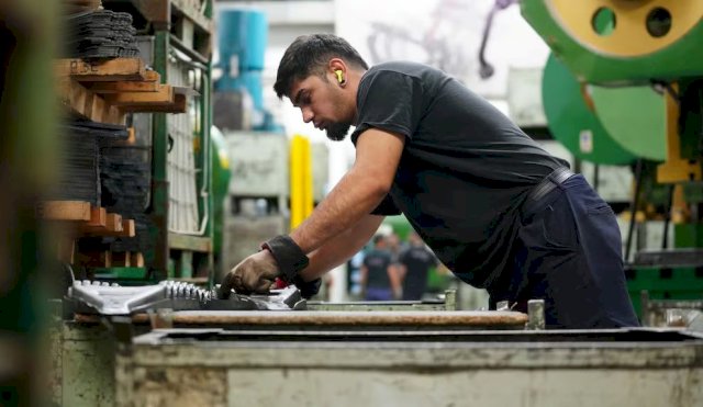 actividad económica 