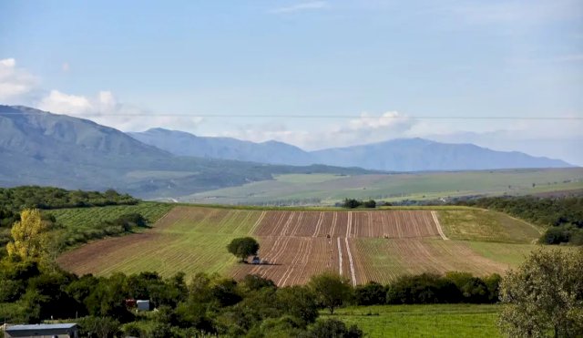 ley de tierras 