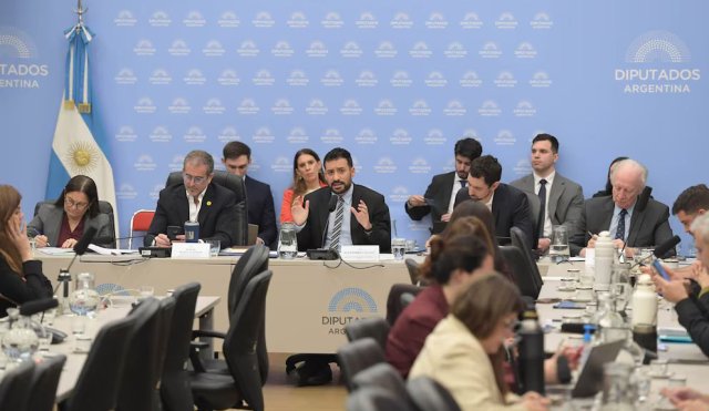 diputados